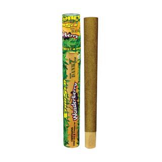 Cyclones Hemp Cones