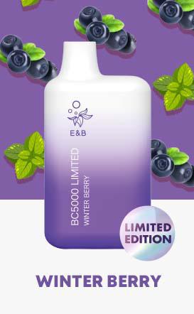 Elf Bar 5000 puff Disposable Vape