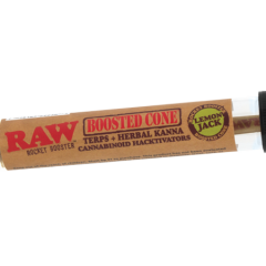 Raw Rocket Booster Cones