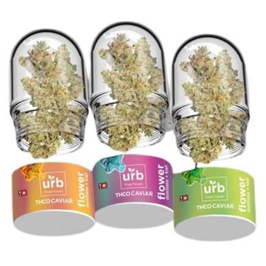 Urb THC-O Caviar flower - 7g