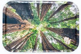 Be Lit Rolling Tray - Medium